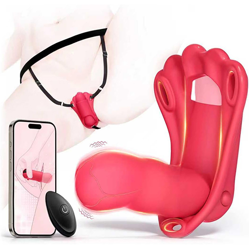 App Remote Control Vibrator